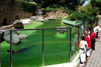 5. obrázek ZOO Zlín - Zámek Lešná- Zoo bez mříží 5. obrázek ZOO Zlín - Zámek Lešná- Zoo bez mříží