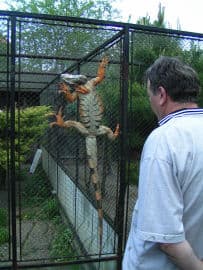 6. obrázek Rodinná Zoo Chleby 6. obrázek Rodinná Zoo Chleby