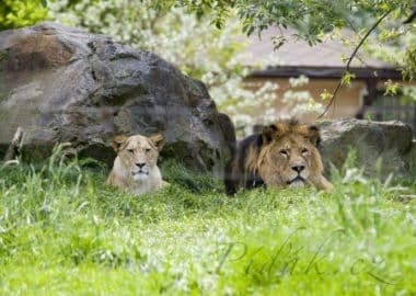 6. obrázek ZOO Plzeň 6. obrázek ZOO Plzeň