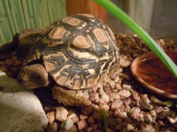 8. obrázek Mini Zoo Štramberk Aqua Terra 8. obrázek Mini Zoo Štramberk Aqua Terra