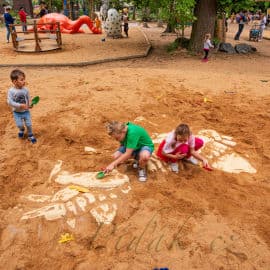 4. obrázek DinoPark ZOO Plzeň 4. obrázek DinoPark ZOO Plzeň