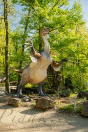 7. obrázek DinoPark ZOO Plzeň 7. obrázek DinoPark ZOO Plzeň