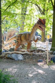 6. obrázek DinoPark ZOO Plzeň 6. obrázek DinoPark ZOO Plzeň