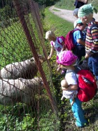 6. obrázek Lesní skřítci lesní školka- Brno- venkov 6. obrázek Lesní skřítci lesní školka- Brno- venkov