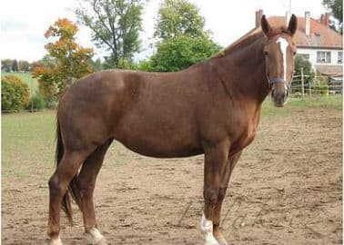 6. obrázek Centrum Eden - Bystřice nad Pernštejnem 6. obrázek Centrum Eden - Bystřice nad Pernštejnem