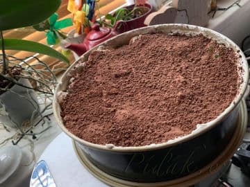 4. obrázek Nepečený ovocný dort s mascarpone a zakysanou smetanou 4. obrázek Nepečený ovocný dort s mascarpone a zakysanou smetanou