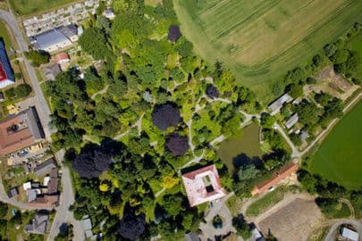 Obrázek Arboretum Bílá Lhota