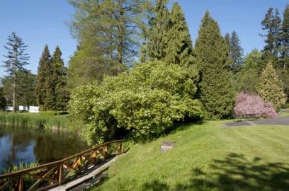 Obrázek Arboretum Nový Dvůr u Opavy