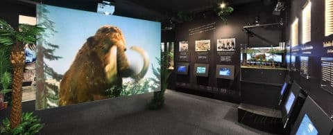 2. obrázek Muzeum Karla Zemana - Praha 2. obrázek Muzeum Karla Zemana - Praha