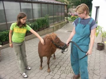 3. obrázek Ekocentrum Zahrada - Mladá Boleslav 3. obrázek Ekocentrum Zahrada - Mladá Boleslav
