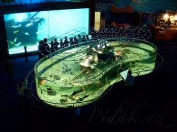 8. obrázek Mořský svět - Praha 8. obrázek Mořský svět - Praha
