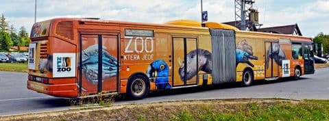 3. obrázek ZOO Zlín - Zámek Lešná- Zoo bez mříží 3. obrázek ZOO Zlín - Zámek Lešná- Zoo bez mříží