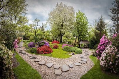 Obrázek Botanická zahrada Praha