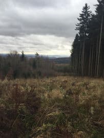 5. obrázek Výlet na rozhlednu Máminka 5. obrázek Výlet na rozhlednu Máminka