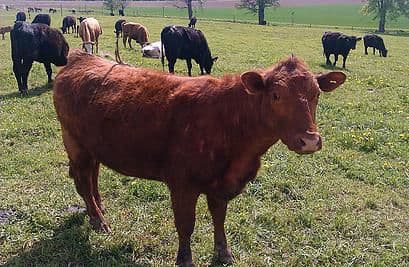 7. obrázek Centrum Eden - Bystřice nad Pernštejnem 7. obrázek Centrum Eden - Bystřice nad Pernštejnem