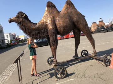 5. obrázek Kovozoo - Staré Město 5. obrázek Kovozoo - Staré Město