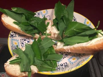 5. obrázek Pesto z medvědího česneku by Romča 5. obrázek Pesto z medvědího česneku by Romča