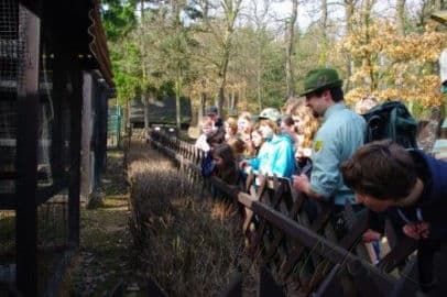 5. obrázek Zoo koutek Malá Chuchle- Praha 5. obrázek Zoo koutek Malá Chuchle- Praha