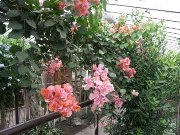 5. obrázek Ekocentrum Zahrada - Mladá Boleslav 5. obrázek Ekocentrum Zahrada - Mladá Boleslav