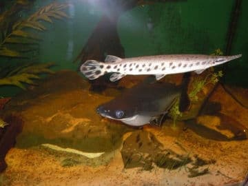 5. obrázek Mini Zoo Štramberk Aqua Terra 5. obrázek Mini Zoo Štramberk Aqua Terra