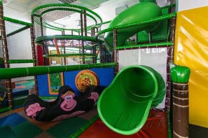 4. obrázek Pampalánie - Ústí nad Labem 4. obrázek Pampalánie - Ústí nad Labem