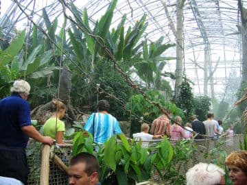 10. obrázek ZOO Zlín - Zámek Lešná- Zoo bez mříží 10. obrázek ZOO Zlín - Zámek Lešná- Zoo bez mříží