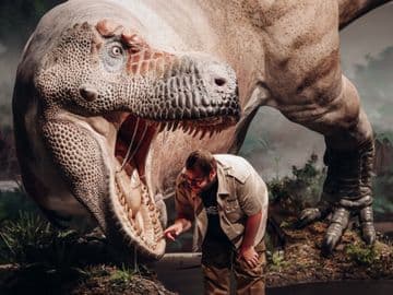 Obrázek Dinosauria Museum Prague