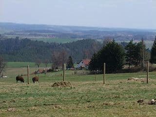 3. obrázek Doma v lese- lesní školka- České Budějovice 3. obrázek Doma v lese- lesní školka- České Budějovice