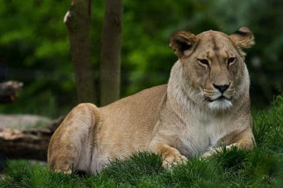 5. obrázek ZOO Plzeň 5. obrázek ZOO Plzeň