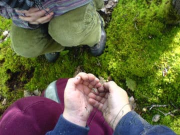 5. obrázek Ekoškolka Dobroděj- Brno 5. obrázek Ekoškolka Dobroděj- Brno