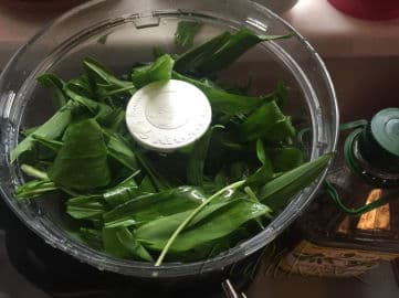 3. obrázek Pesto z medvědího česneku by Romča 3. obrázek Pesto z medvědího česneku by Romča