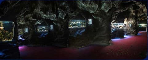 9. obrázek Mořský svět - Praha 9. obrázek Mořský svět - Praha