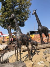 7. obrázek Kovozoo - Staré Město 7. obrázek Kovozoo - Staré Město