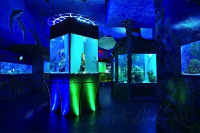 2. obrázek Mořský svět - Praha 2. obrázek Mořský svět - Praha