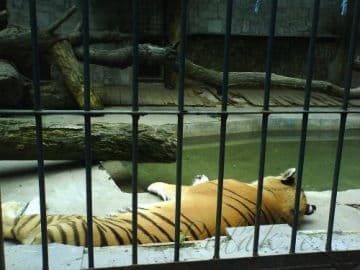 9. obrázek ZOO Ostrava 9. obrázek ZOO Ostrava