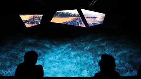 Obrázek Svět zkamenělin Stetten – Fossilienwelt Weinviertel, Rakousko