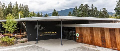 Obrázek Dům divočiny Ludwigsthal – Haus zur Wildnis, centrum NP Bavorský les Falkenstein, Německo