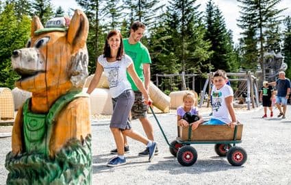 Obrázek Království lesa – Lipno