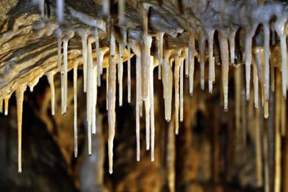 Obrázek Medvědí jeskyně v Kletně – Jaskinia Niedźwiedzia, Polsko