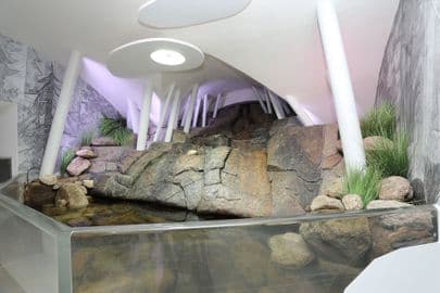 Obrázek Muzeum Krkonoš Vrchlabí