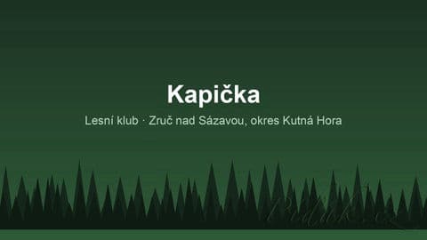 Obrázek Kapička
