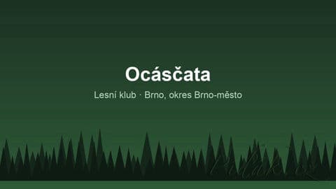 Obrázek Ocásčata