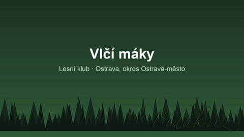 Obrázek Vlčí máky