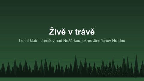 Obrázek Živě v trávě
