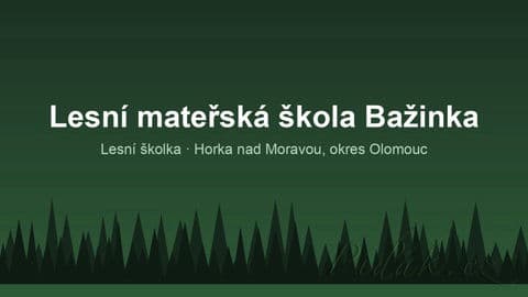 Obrázek Lesní mateřská škola Bažinka