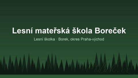 Obrázek Lesní mateřská škola Boreček