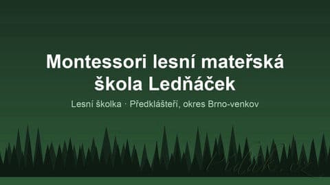 Obrázek Montessori lesní mateřská škola Ledňáček