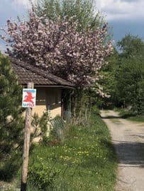 Obrázek Lesní mateřská škola Napísek