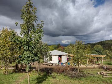 Obrázek Lesní mateřská škola Svatošky