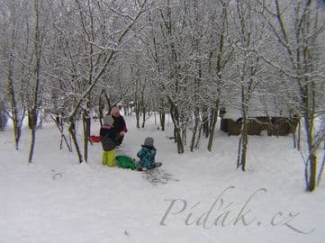 Obrázek Lesní mateřská škola V Závětří